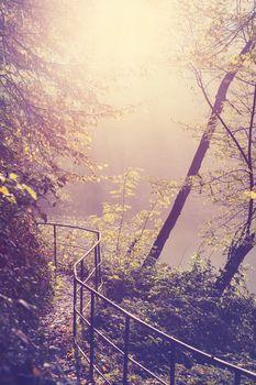 Ścieżka w lecie. Retro