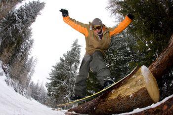 Trik na snowboardzie na drzewie