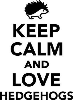 Keep calm and love hedgehogs