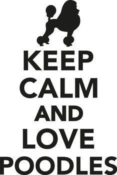 Keep calm and love poodles