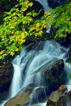 Wodospad w parku. Francja