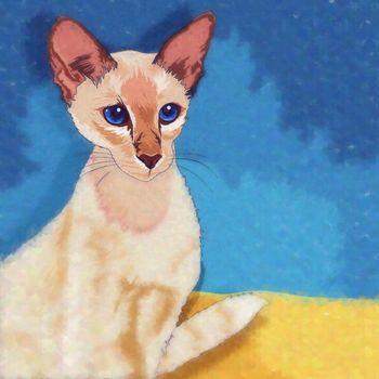 Ilustracja przedstawiająca kota na niebieskim tle