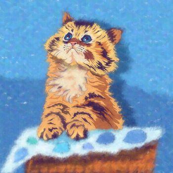 Mały kot na niebieskim tle