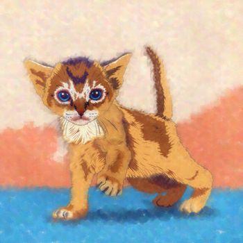 Obraz przedstawiający małego kota na kolorowym tle