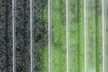 Krople wody na czarno zielonym tle