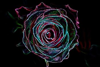 Świetlny kształt róży