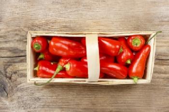 bew1852841_EDITORIAL_HiRes