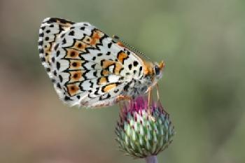 BEW1BBE9633_EDITORIAL_HiRes