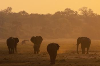 BEW1BC34F6D_EDITORIAL_HiRes