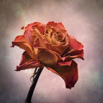 BEW1BF67D94_EDITORIAL_HiRes