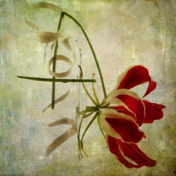 BEW1BF67DAB_EDITORIAL_HiRes