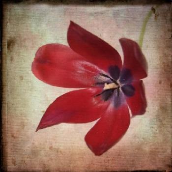 BEW1BF67DBD_EDITORIAL_HiRes