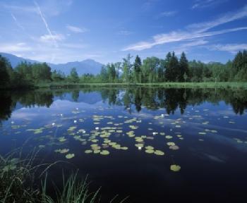 BEW1C601DA7_EDITORIAL_HiRes