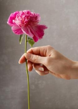 BEW1C6FA4EB_EDITORIAL_HiRes