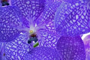 BEW1C7146B0_EDITORIAL_HiRes