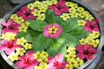 BEW1C717275_EDITORIAL_HiRes