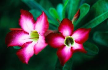 BEW1C73E0E0_EDITORIAL_HiRes