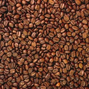 BEW1C7BC43D_EDITORIAL_HiRes