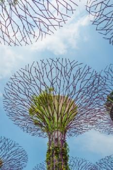 BEW1CB9BE49_EDITORIAL_HiRes