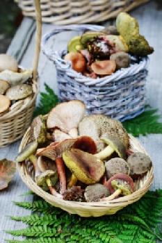 BEW1D068A22_EDITORIAL_HiRes