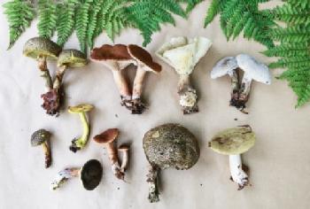 BEW1D068B65_EDITORIAL_HiRes