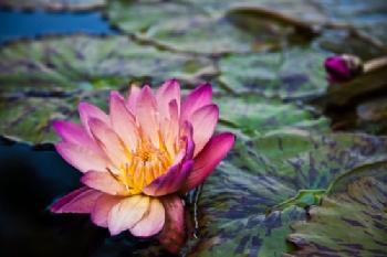 BHKH21_EDITORIAL_HiRes