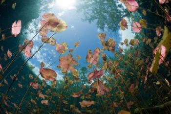 BM4KXH_EDITORIAL_HiRes