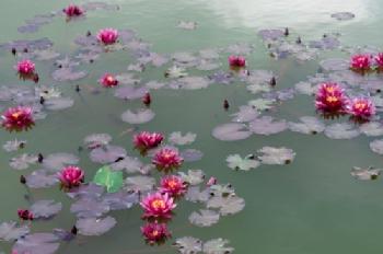 BNKM5R_EDITORIAL_HiRes