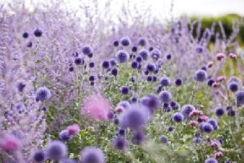 BR03AK_EDITORIAL_HiRes