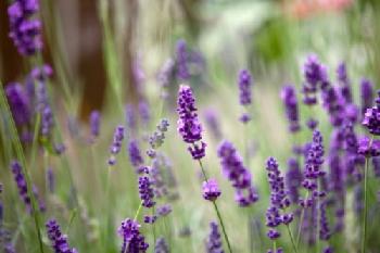 BXWH3B_EDITORIAL_HiRes