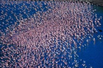 C4XDH4_EDITORIAL_HiRes