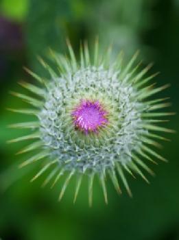 C56RXW_EDITORIAL_HiRes