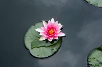 C5706P_EDITORIAL_HiRes