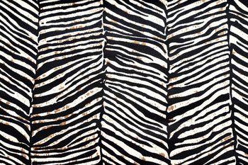Czarno-białe pasy zebry