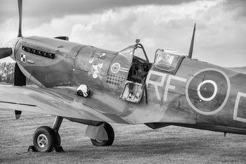 Czarno biały spitfire