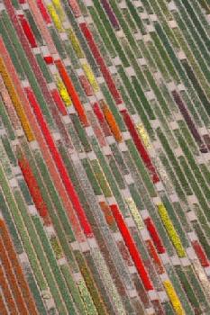 DHWR4T_EDITORIAL_HiRes