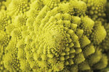 Brokuły Romanesco