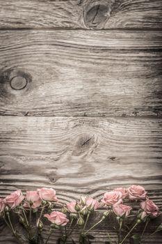 Róże na drewnianym tle