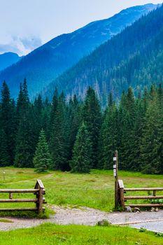 Dolina kościeliska. Tatry. Polska
