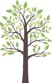 Drzewo z zielonymi liśćmi na białym tle