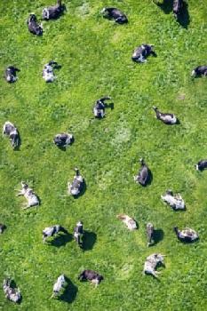 E5JDY8_EDITORIAL_HiRes