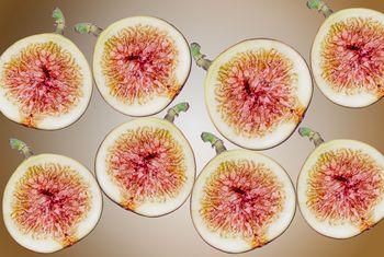 Figi na brązowym tle