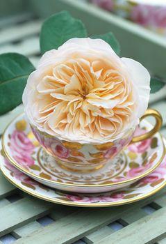 Filiżanka z różanym ornamentem