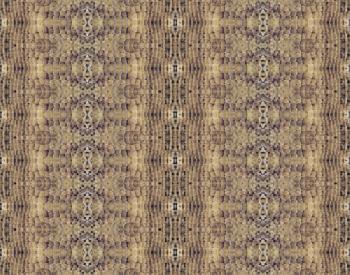 G242Y5_EDITORIAL_HiRes