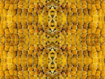 G242Y6_EDITORIAL_HiRes