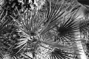 HX3BJ1_EDITORIAL_HiRes