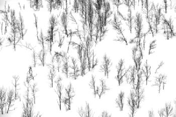 J09R81_EDITORIAL_HiRes