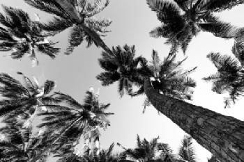 JDEG6D_EDITORIAL_HiRes