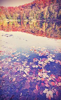 Jezioro na tle jesiennego krajobrazu