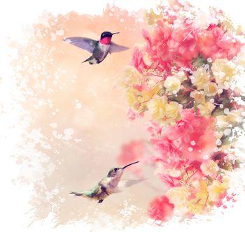 Koliber przy kwiatach